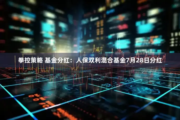 拳控策略 基金分红：人保双利混合基金7月28日分红